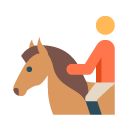 Sports de précision et nature : équitation